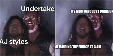 10 Undertaker/AJ Styles Memes That Make Us Laugh