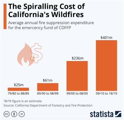 What are the main causes of wildfires and what can we do to prevent ...