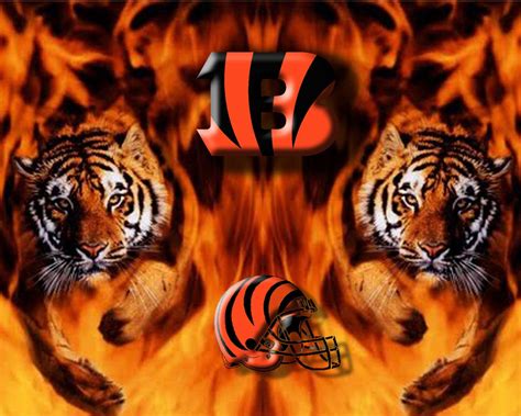 Bengals - Carol Robinson Blog