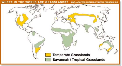 Hinterland Who's Who - Grasslands