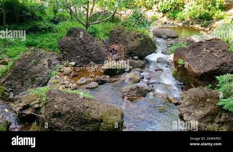 Daranak waterfalls in Tanay, Rizal, Philippines Stock Video Footage - Alamy