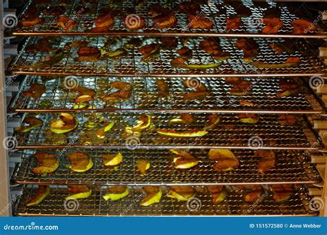 A Dehydrator Stacked with Apple Slices Being Dried Stock Photo - Image ...