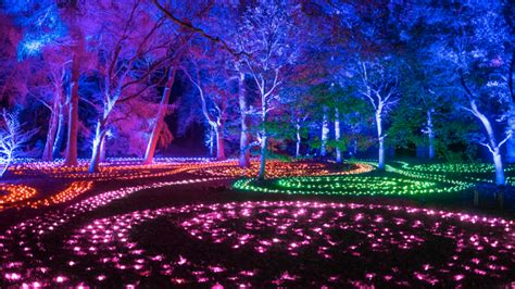 Brooklyn Botanic Garden’s Lightscape has announced dates, tickets for the 2024 holiday season