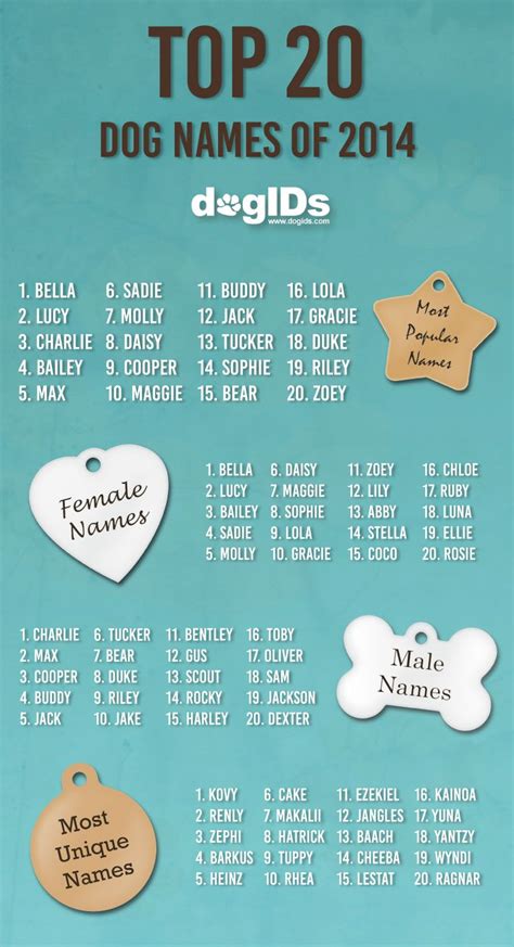 Unique Dog Names