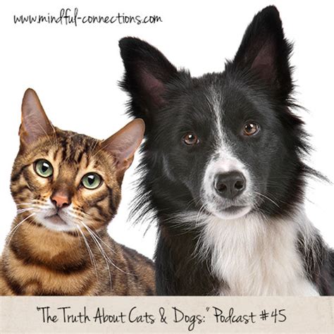 #45 The Truth About Cats & Dogs