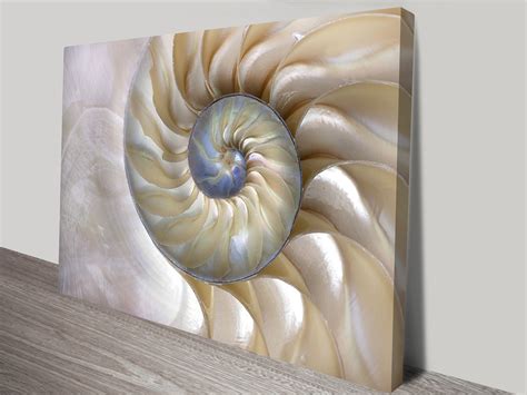 Nautilus Shell Abstract Art Print on Canvas & Framed Seashell Picture