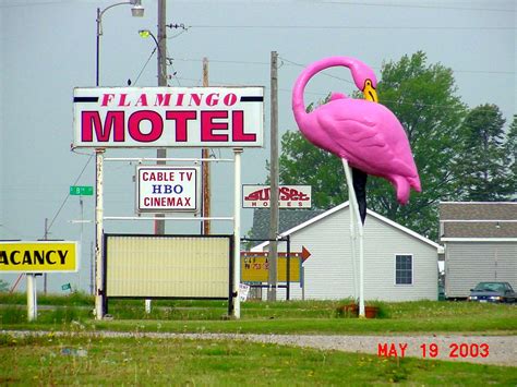 PINK FLAMINGO MOTEL - FLAMINGO MOTEL - ACCOMMODATION IN BOURNEMOUTH - Blog.hr