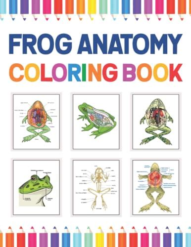 Frog Anatomy Coloring Book: Frog Anatomy Coloring Workbook for Kids ...