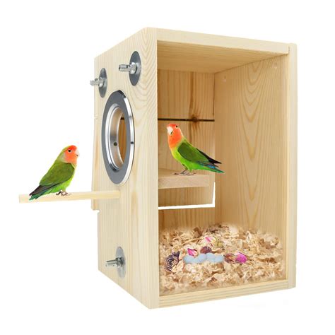 Parakeet Nest Box Petco, 44% OFF | www.nsk.russamogon.ru