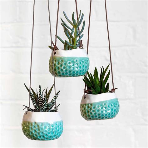 Indoor Hanging Plant Pots - Quality Indoor Plant Pots - Hortology