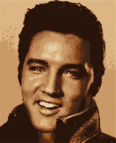 image 0 Elvis Presley Memories, King Elvis Presley, Elvis And Priscilla, Cross Stitch Art, Cross ...