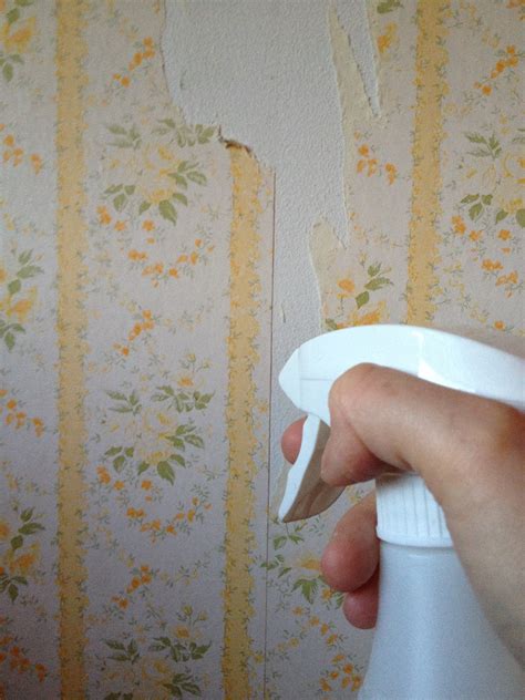 Removing Wallpaper Vinegar