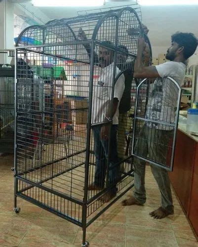 Macaw Bird Cage A24 at best price in Chennai by Pisces Impex | ID: 4479807962