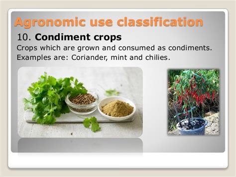 Classification of field crops