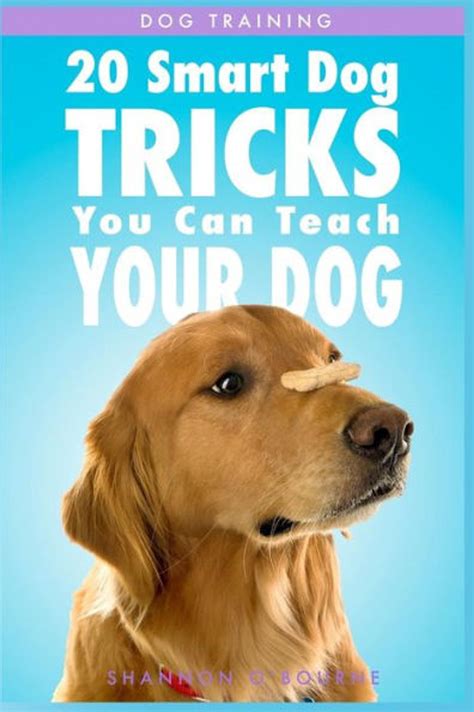 Dog Training: 20 Smart Dog Tricks You Can Teach Your Dog (Dog Training ...