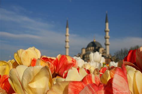 Yusuf Estes Lectures | Tulip season, Tulips, Table decorations