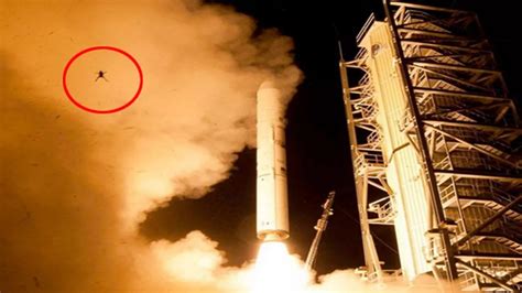 Nasa Rocket Frog