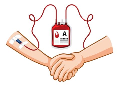 Free Vector | Human blood donate on white background