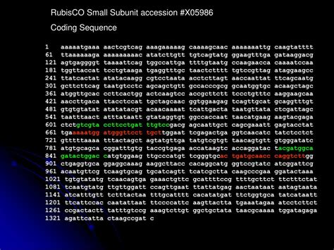 PPT - Real Time RT PCR Data Analysis PowerPoint Presentation, free ...