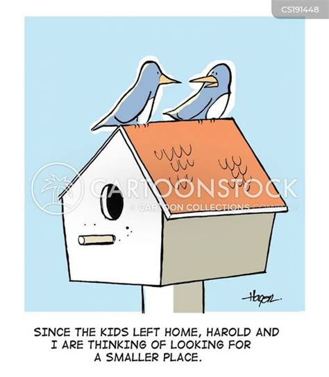 Empty Nest Syndrome Cartoons and Comics - funny pictures from CartoonStock