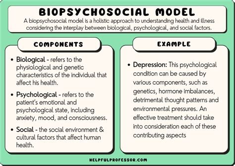 Biopsychosocial Perspective Example Biopsychosocial Model Of Health | Hot Sex Picture