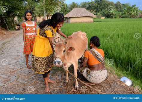 Rural Lifestyle editorial stock photo. Image of farming - 61019693