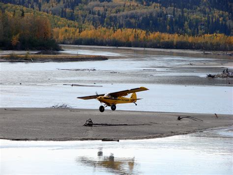 Bush plane landing on a sandbar. | Piper Cub near Fairbanks … | Flickr