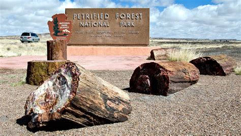 Petrified Forest National Park | Internet Space Chemisty - Michael Lerner