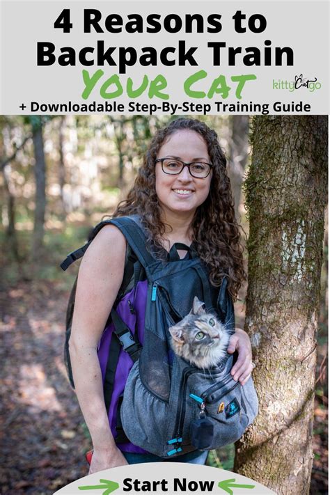 The Ultimate Guide to Backpack Training Your Cat | Backpacking training, Adventure cat, Pet backpack