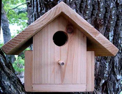 Bird In Everything: House Wren Birdhouse