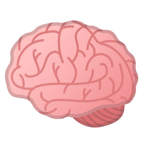 Brain,Pink,Head,Organ,Nose,Brain,Muscle,Illustration,Food,Human anatomy,Meat #95738 - Free Icon ...