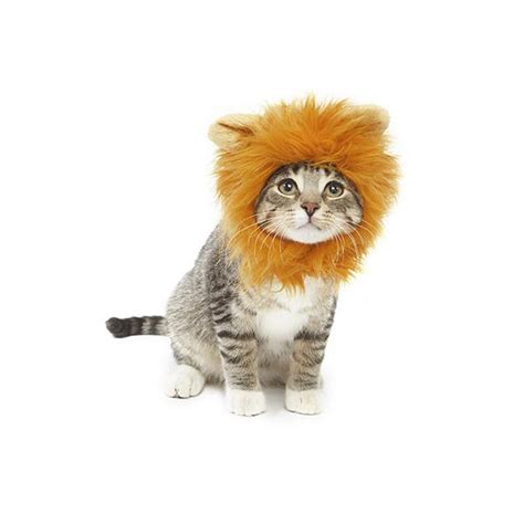 Lion Cat Costume – Meowingtons