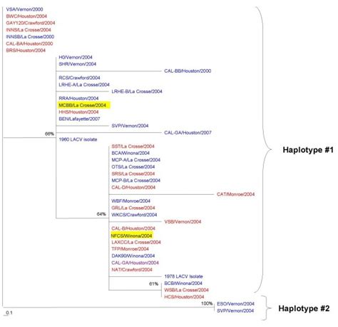 L segment (nucleotides 179–625) phylogenetic tree. Maximum parsimony... | Download Scientific ...