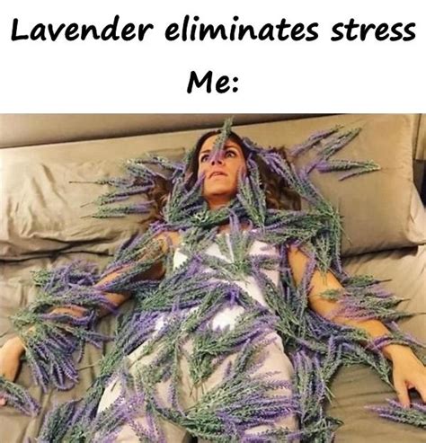 Lavender eliminates stress - xdPedia.com (4594)