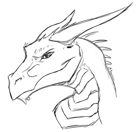 face shape | Dragon sketch, Easy dragon drawings, Sketches