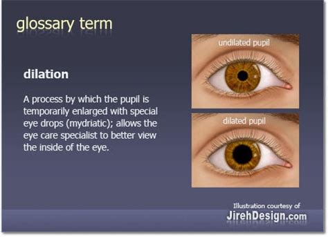 KNOWLEDGE BAG OF BIOCHEMISTRY: PUPIL DILATION AND ITS MEANING