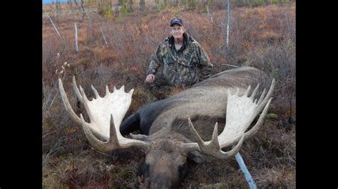 Self Guided Alaskan Giant Moose Hunt 2014 / Kent Kaiser Alaska - YouTube