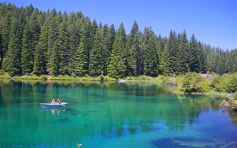 America's Most Beautiful Lake Has a Sunken Forest Beneath Its Crystal-clear Waters | Clear lake ...