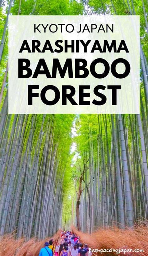 THE Arashiyama bamboo forest in Kyoto Japan (views!) + things to do near the bamboo grove 🗾 ...