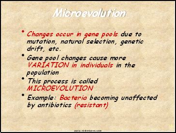 Population Genetics - Presentation Biology