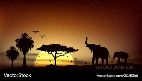 Sunrise over the savannah with African elephants Vector Image