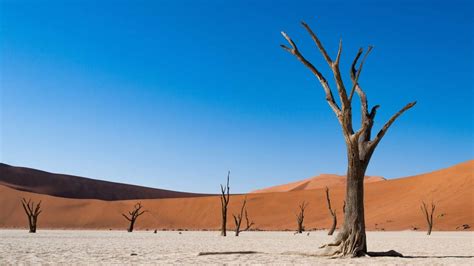 Read more about the climate in Namibia - Charlie's Travels