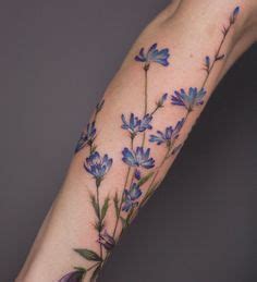 13 Chicory tattoo ideas in 2023 | small tattoos, tattoos, tattoo designs