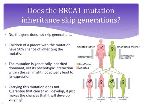 PPT - Investigating the BRCA1 Mutation PowerPoint Presentation, free ...