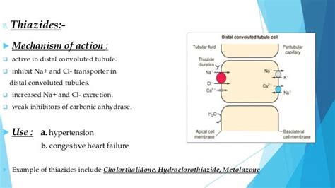 Furosemide Mechanism Of Action - Management of severe hyperkalemia in the post-Kayexalate era ...