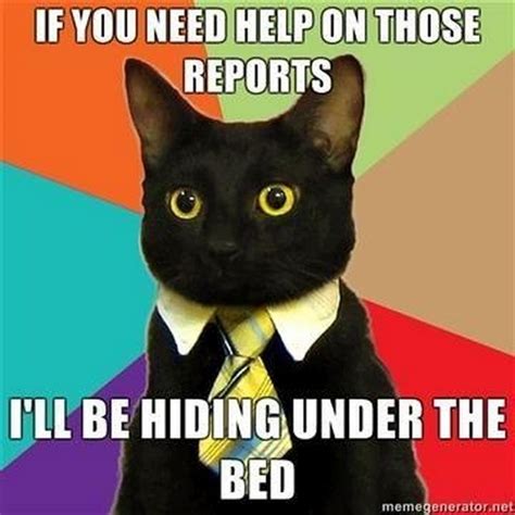 15 Awesome Business Cat Memes