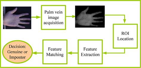 Palm Vein Technology