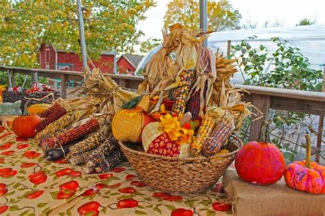 Pumpkin Picking at Decker Farm on Staten Island - Staten Island Lifestyle - Staten Island News ...