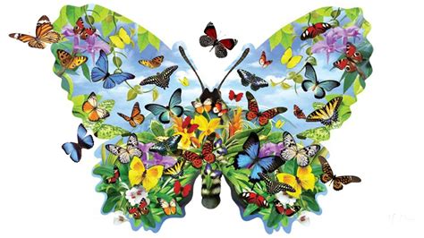 Butterfly Garden Wallpapers - Top Free Butterfly Garden Backgrounds ...