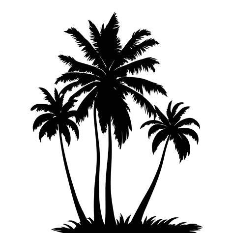 Palm Tree vector Palm tree silhouette Coconut tree vector silhouette ...